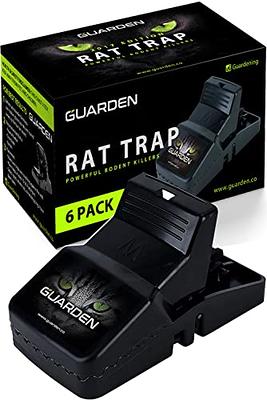 Cisvio Rat Trap Cage Humane Live Rodent Trap Cage Mouse Control Bait Catch That Work for Indoor and Outdoor Small Animal