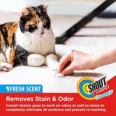  Resolve Pet Expert Stain and Odor Remover, Carpet