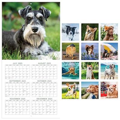 2024 Wall Calendar - Calendar 2024, Wall Calendar 2024, Cutie Dogs