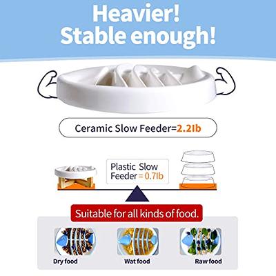 Havniva Ceramic Slow Feeder Dog Bowl