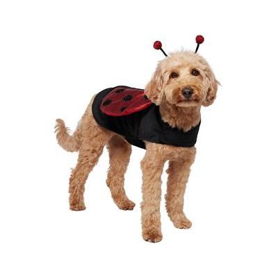 Dog Costume - Lady Bug