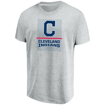 Men's Nike Gray Cleveland Indians Large Logo Legend Performance T-Shirt