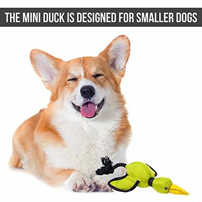Hyper Pet Flying Series Fetching Dog Toys – Mini Duck Interactive