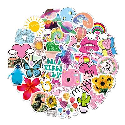 100 PCS Water Bottle Stickers, Laptop Vinyl Cute Waterproof Skateboard  Scrapbook Vsco Stickers Aesthetic Car Decals Computer Hydroflask Stickers  for Adults Teens Kids