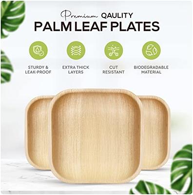 100% Compostable Disposable Paper Plates Bulk [10 50 Pack], Bamboo Plates,  Eco F 