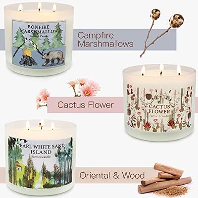 3 Pack Candles Gifts for Women, 42oz Large 3 Wick Scented Candle, Candles  for Home Scented, Aromatherapy Gift Set for Birthday, Natural Soy Wax with  Essential Oils for Stress Relief - Yahoo Shopping