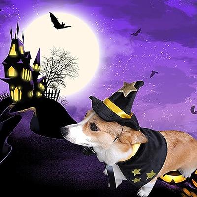 Halloween Costumes for Dogs, Vampire Cloak for Cat, Comfortable Soft Dog  Witch Clothes, Red & Black Dog Cape Costume for Small Medium Cat  Puppy,Funny