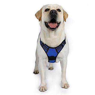BARKBAY No Pull Dog Harness Large Step in Reflective Dog Harness with Front  Clip and Easy Control Handle for Walking Training Running with ID tag  Pocket(Purple,XL) - Yahoo Shopping