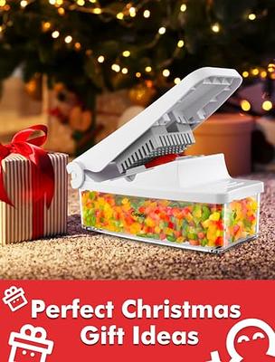 Geedel Vegetable Chopper, Onion Chopper Pro Food Chopper, Kitchen Vegetable  Slicer Dicer Cutter Grater, Veggie Chopper with container for Salad Onion