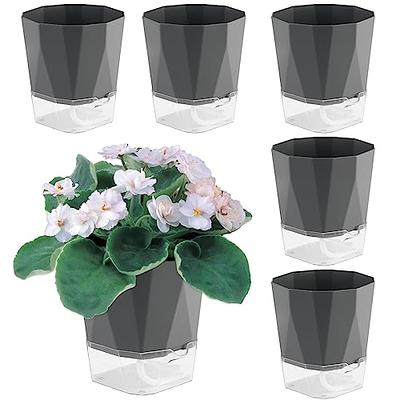 Self Watering Pots for Indoor Plants, 4inch Flower Pot Modern Decorative  Planter with Large Water Storage for All House Plants, Flowers, Herbs White  