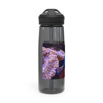 Contigo Kids Water Bottle with AUTOSPOUT Straw Lid Purple Orchid