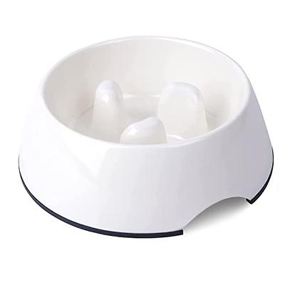 Havniva Ceramic Slow Feeder Dog Bowl