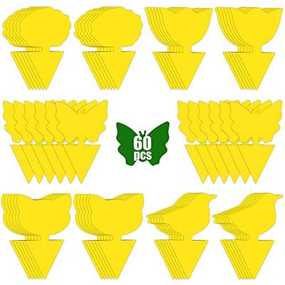 Stingmon 60 Pack Sticky Traps Indoor Plants Fruit Fly Traps, Yellow Sticky  Trap Killer for Insects, Fungus Gnat Traps Sticky for House Plants Bugs -  Yahoo Shopping