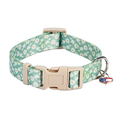 Dog Collar For Small Dogs - Special Design Puppy Collar Cute Small