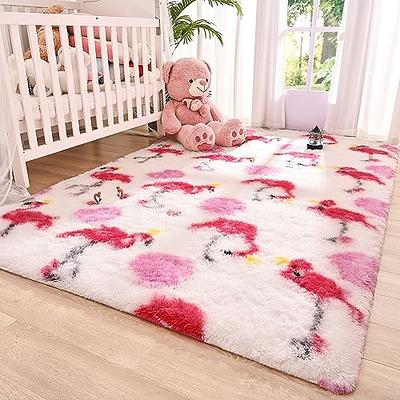 Ompaa Fluffy Rug, Super Soft Fuzzy Pink Area Rugs for Bedroom Girls Room  Living Room - 3' x 5' Large Plush Furry Shag Rug - Kids Playroom Nursery