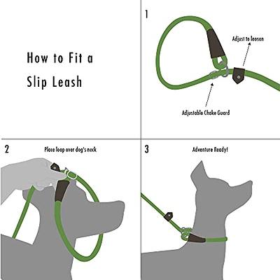  Brilliant Paw Slip Lead Dog Leash 6FT, Strong Braided