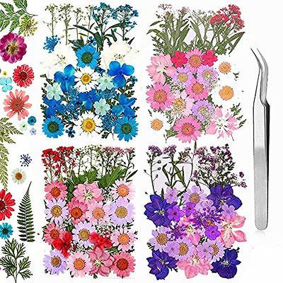 Natural Dried Flower Kit, Natural Dried Flowers Herbs Kit for Soap Making,  DIY Candle Making, Natural Dried Pressed Flowers Leaves Set