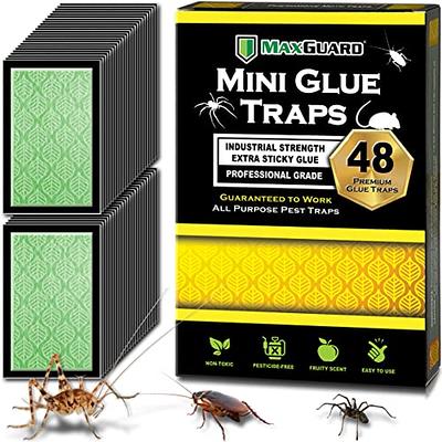 48 Pack Mouse Glue Traps Large Size Mouse Traps Sticky Pad with Enhanced  Stickiness Mouse Rat Sticky Traps Board for Rodent Cockroach and Other