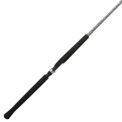  T-ZACK Baitcasting Rod, Medium Heavy Fast Action Fishing Rod,  One-Piece Casting Rod with 30T Toray Carbon,Fuji Guides, Non-Slip EVA  Grips, for Freshwater & Saltwater, Bass Rod : Sports & Outdoors