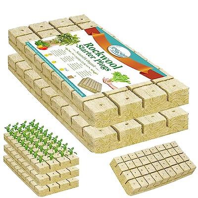 CastleGreens Rock Wool Planting Cubes, Rockwool Cubes 1 inch, Rockwool  Cubes for Hydroponics, Great for Rooting, Cuttings, Cloning Plants, Seed