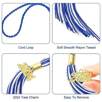  2PCS 2024 Graduation Tassel,2024 Tassel Charm, Graduation  Cap Tassel For Graduation Cap 2024 Graduation Hat Decoration Tassel