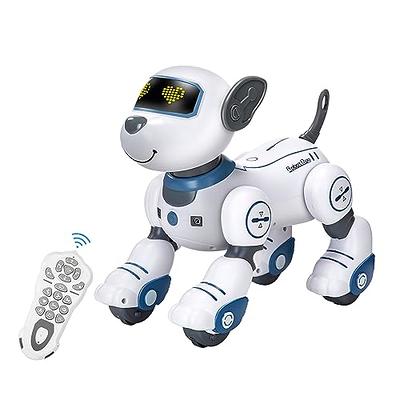 Robot Dog Toy for Kids, OKK Remote Control Robot Toy Dog and Programmable  Toy Robot, Smart Dancing Walking RC Robot Puppy, Interactive Voice Control