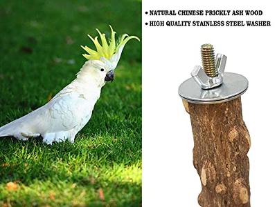 Natural Bird Perches, Parrot Perches, Parrot Stand, Parrot