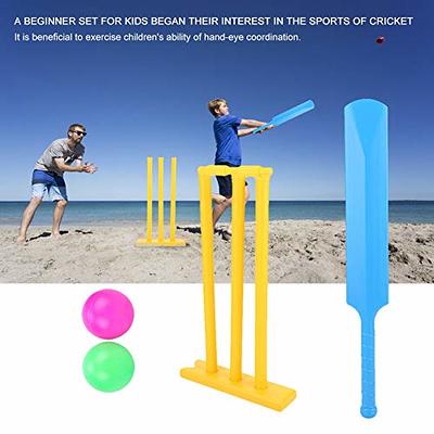 Cricket Accessories & Equipment