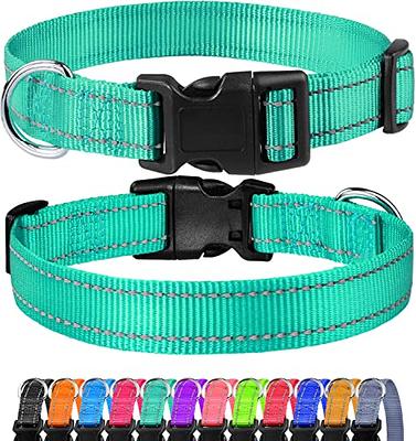 Blueberry Pet Essentials 21 Colors Classic Dog Collar, Turquoise, Small,  Neck 12-16, Nylon Collars for Dogs