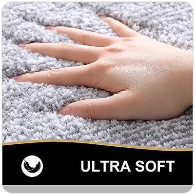 OLANLY Luxury Bathroom Rug Mat 30x20, Extra Soft and Absorbent Microfiber  Bath Rugs, Non-Slip Plush Shaggy Bath Carpet, Machine Wash Dry, Bath Mats