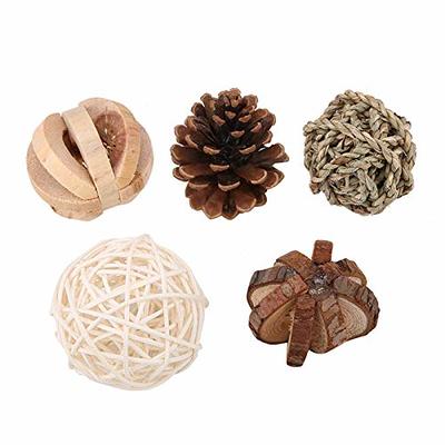 Treat Dispensing Dog Toy - Pine Cones