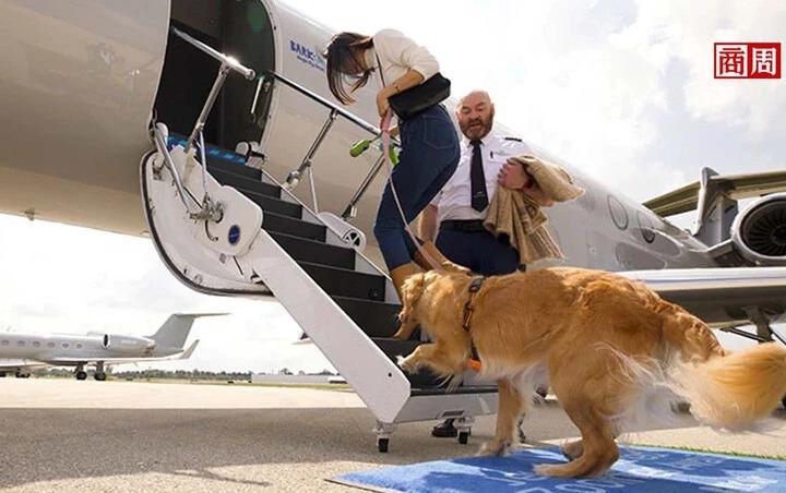 搭機，狗才是VIP！全球首家狗專屬航空5月首飛、機票近20萬⋯你搭不搭