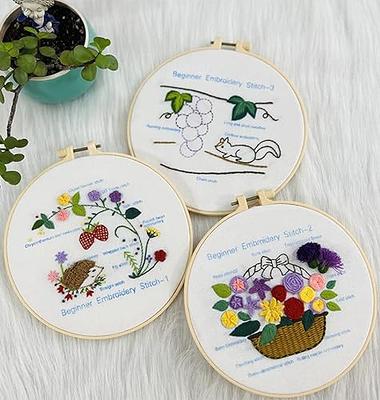  Embroidery Kit for Beginners Adults Cross Stitch Kits