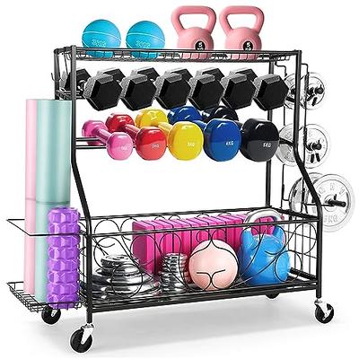 Weights Rack All-In-One Storage Stand