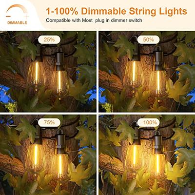 GPATIO Outdoor LED String Lights, 150FT(3PACK*50FT) Patio Lights with 45+3  Dimmable IP65 Waterproof Vintage ST38 Bulbs, 2200k Shatterproof for  Backyard Patio Garden Outside Gazebo Camping Indoor - Yahoo Shopping