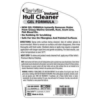 Woolite Carpet and Upholstery Foam Cleaner, 12 Ounce