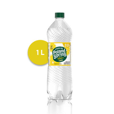 Poland Spring 100% Natural Spring Water, Regular Flavor, 8 oz. Mini Plastic  Bottles, 48/Carton (100987), Staples