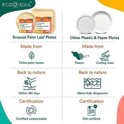 Heavy Duty Compostable Plates  10 Inch Disposable Plates Made From Ec