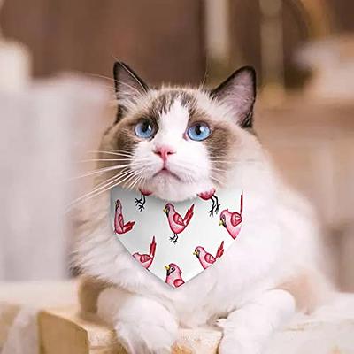 Red Cardinal Bandana 