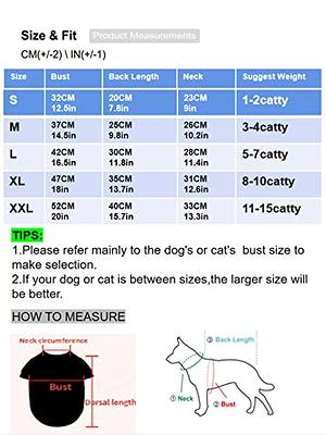 Strawberry Dog Harness & Leash Set