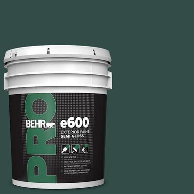 BEHR PRO 5 gal. #ECC-51-3 Hidden Forest Semi-Gloss Exterior Paint - Yahoo  Shopping