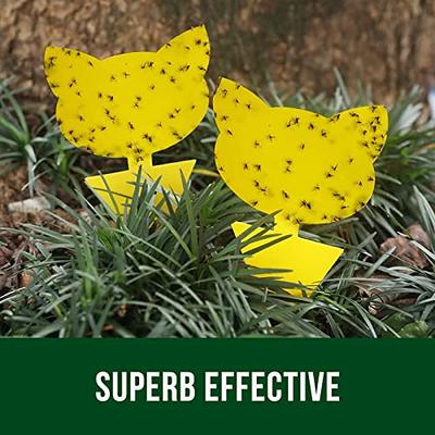 Garsum Sticky Trap,Fruit Fly and Gnat Trap Yellow Sticky Bug Traps for Indoor/Outdoor Use - Insect Catcher for White Flies,Mosquitos,Fungus Gnats