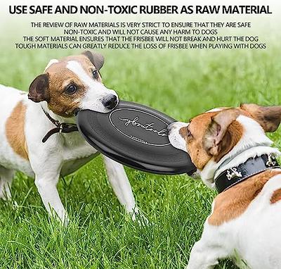 Best soft sale frisbee for dogs