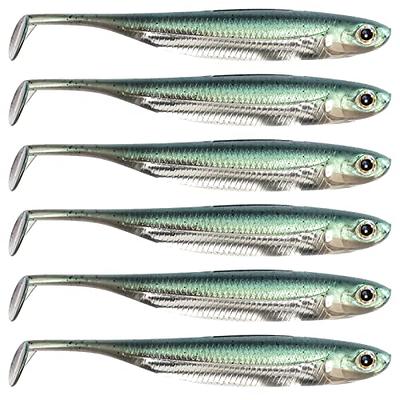 Dr.Fish 6 Pack Soft Plastic Lures for Bass Fishing, 4.3 Drop Shot Baits  with Glass Rattle, Drop Shot Worms Soft Swimbait Straight Tail Worm Bait  Ned Rig Bait Trout Pike Perch Freshwater 