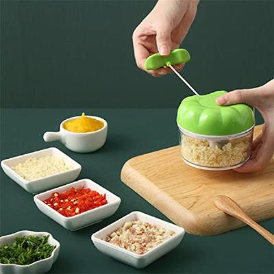 Electric Mini Vegetable Chopper, Food Chopper, Garlic Slicer Veggie, Salad,  Lettuce, Onion, Chili Crusher, Tomato Dicer Chopper Cutter & Ginger Meat