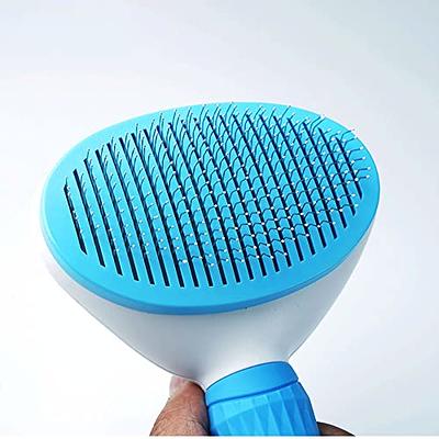 Cleaning Thin Slicker Brush