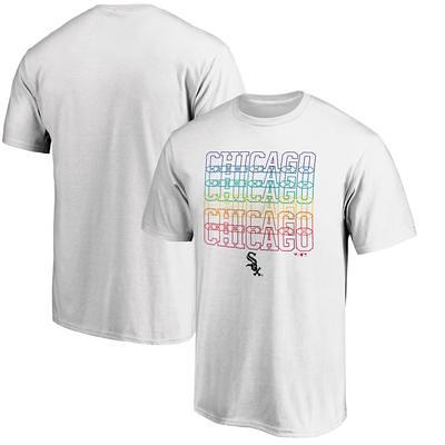 Men's Miami Dolphins Pro Standard Black Hometown Collection T-Shirt