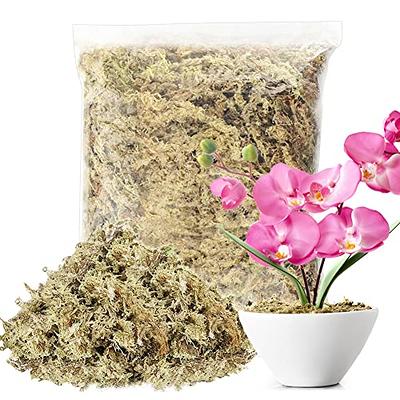 Sphagnum Moss 5 oz Dried Forest Moss for Orchid Moss Potting Mix