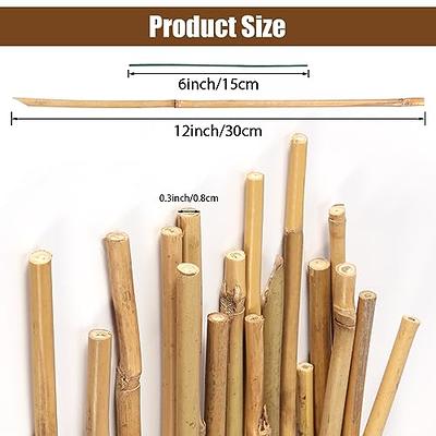 25pcs 20 Green Bamboo Plant Stakes, Plant Sticks Support, Floral Plant  Support