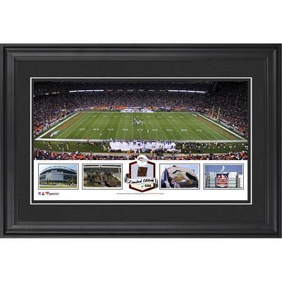 Miami Dolphins Framed 10 x 18 Stadium Panoramic Collage with Game-Used  Football - Limited Edition of 500